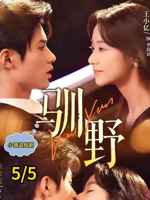 333影视热播剧集第七个证人海报
